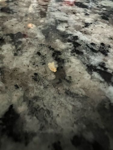 Unidentifiable Particle