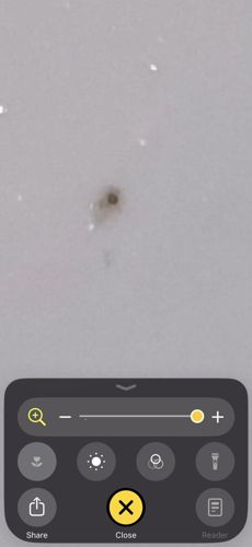 Unknown (Unidentifiable Image Quality)