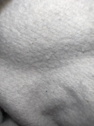 Too blurry to identify