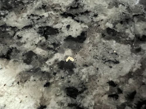 Unidentifiable Particle