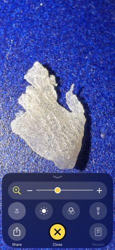 None (Non-living material)