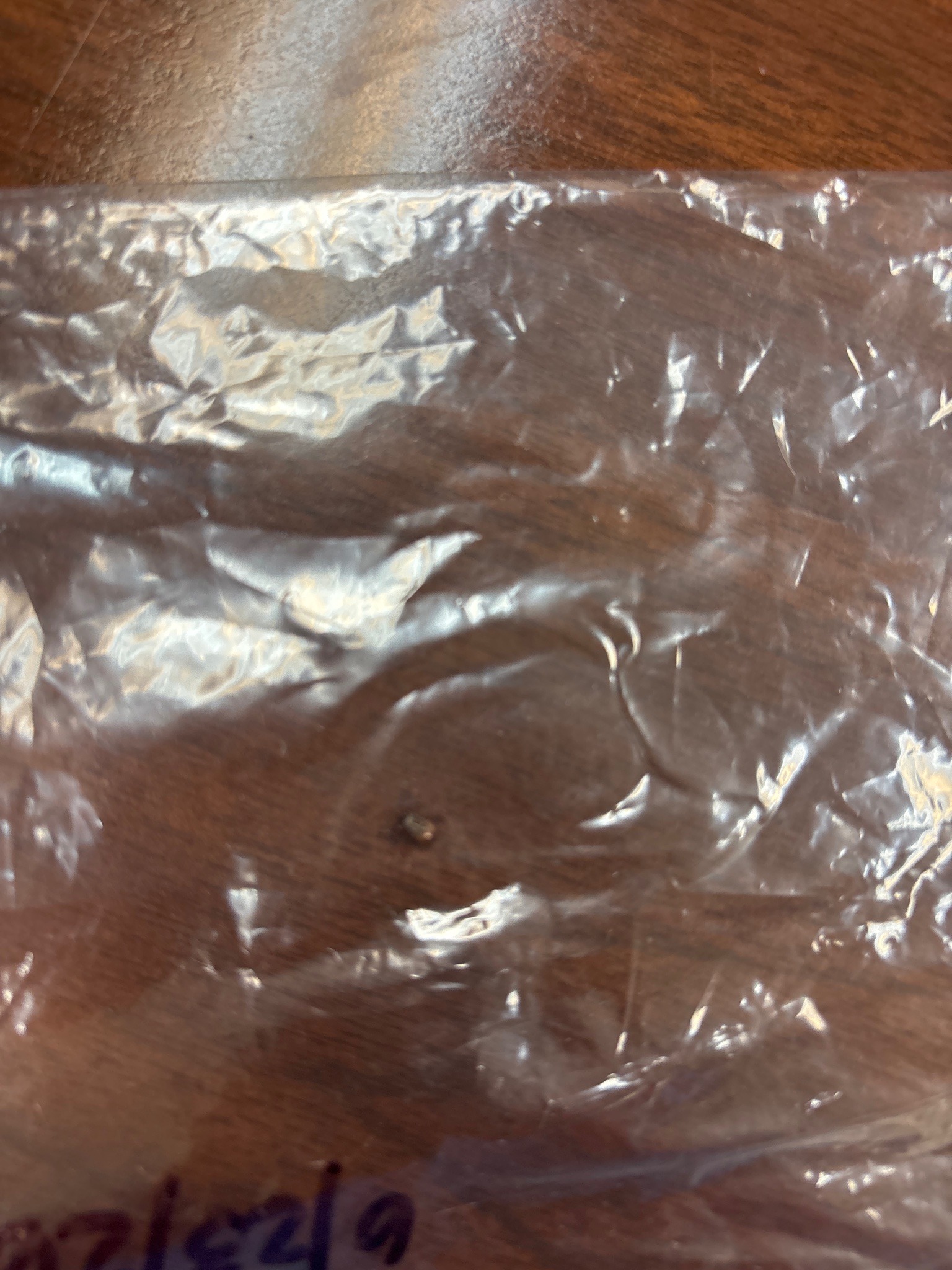 Tick