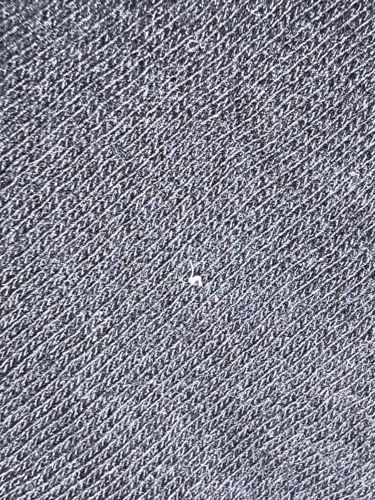 Clothing Moth Larva (possibly Case-bearing or Webbing)