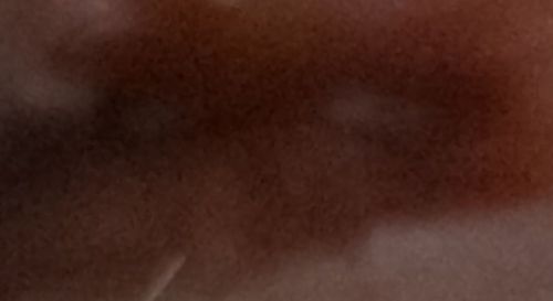 Unidentifiable Object/Noise