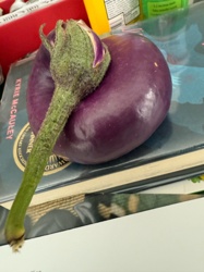 Eggplant (vegetable, not an insect)