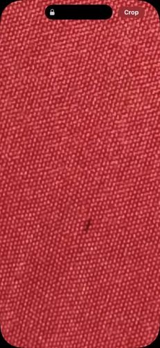 Mite (general, due to low resolution)