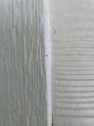 Booklouse (might also be a dust mite, but less likely given typical visual characteristics if it's mobile)