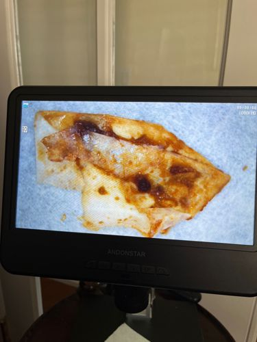 Not identifiable as an insect/bug