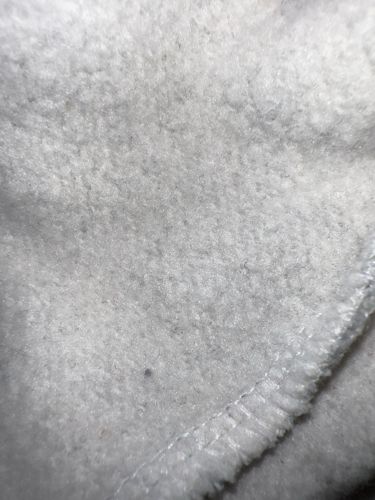 No insect or bug identifiable