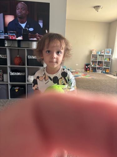 No insect or bug identifiable