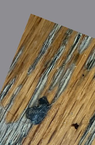 Not identifiable (Dust, debris, or stain)