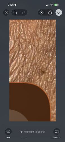 Unidentifiable due to image quality