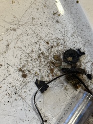 No identifiable bug/insect