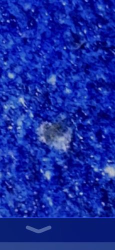 Undetermined (Insufficient Image Detail)