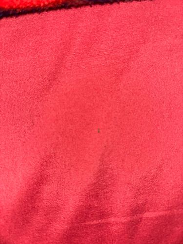 Unidentifiable speck/tiny insect/dust