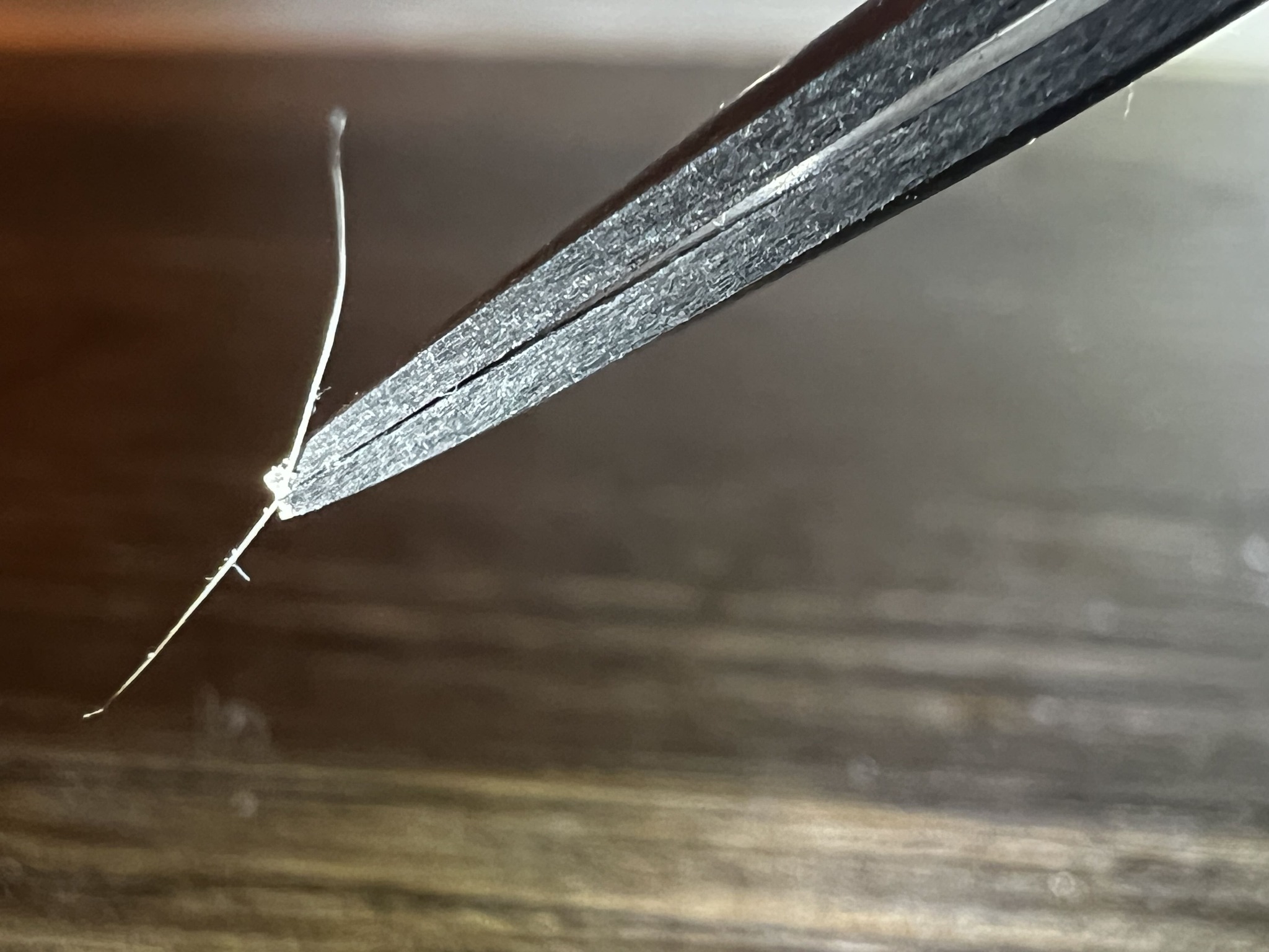 Non-living fiber or thread