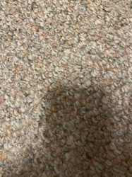 Not identifiable as an insect/bug