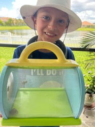 Antlion larva (Doodlebug)