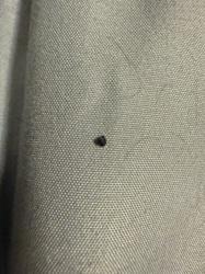 Unidentifiable Particle (likely lint or debris)
