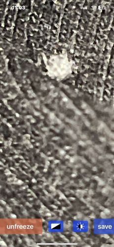 Too blurry to identify