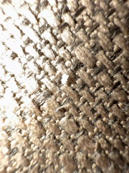 Carpet Beetle Larva (or possibly a very small, light-colored mite or a piece of lint)