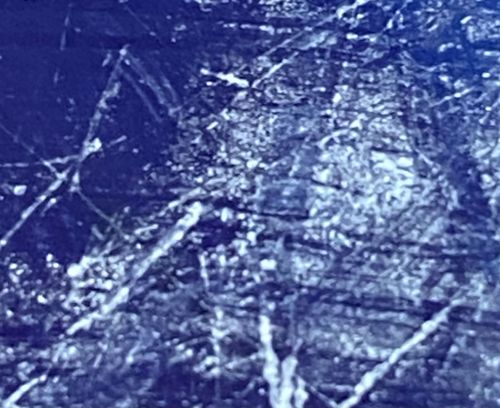 No insect identified