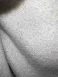 No insect or bug identifiable