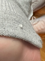 No insect or bug identifiable