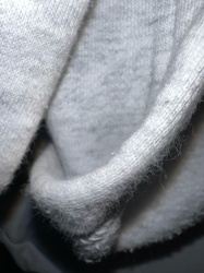 No insect identified