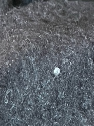 Too difficult to identify