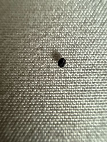 Too small/unclear to identify