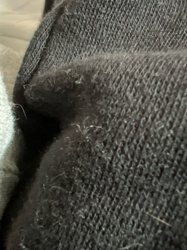 Not identifiable as an insect or bug