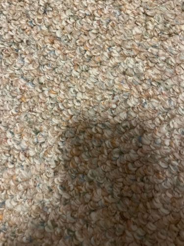 Not identifiable as an insect/bug