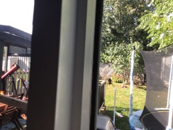 No insect or bug is visible in the provided image.