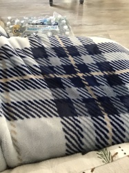 No insect or bug identifiable