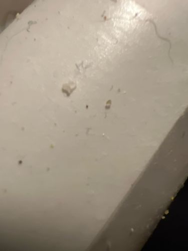 Too blurry to identify