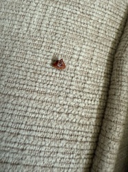 Unidentifiable Object/Debris