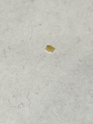 Unidentifiable Particle