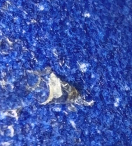 Unknown / Indeterminate (Likely debris or artifact)