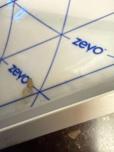 Case-bearing Clothes Moth