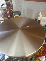 Cockroach (likely German Cockroach or American Cockroach based on typical indoor pests)