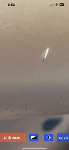 Unidentifiable insect/streak