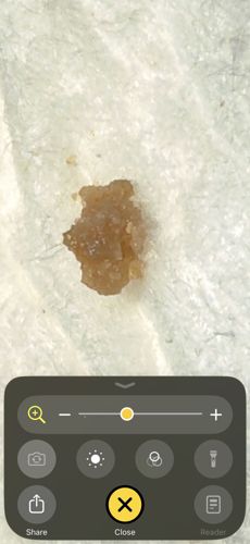 None (non-biological material)