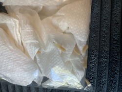 Maggots (Fly larvae)