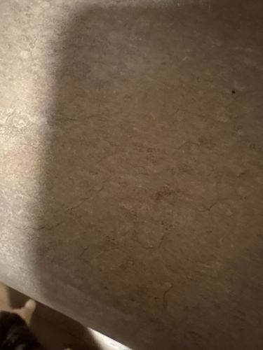 Image is too blurry to identify