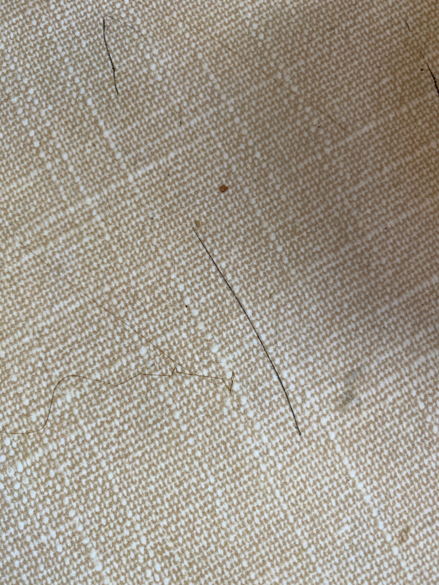 Unknown Bug (Insufficient Detail)