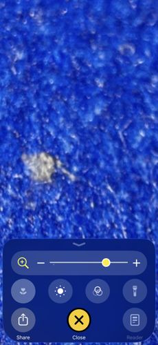 Linen Fiber / Fabric Lint