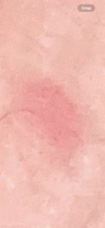 Unfortunately, I cannot identify the bug/insect from the provided image. The image is too blurry and only shows a red mark on what appears to be skin, possibly a bite or rash.
