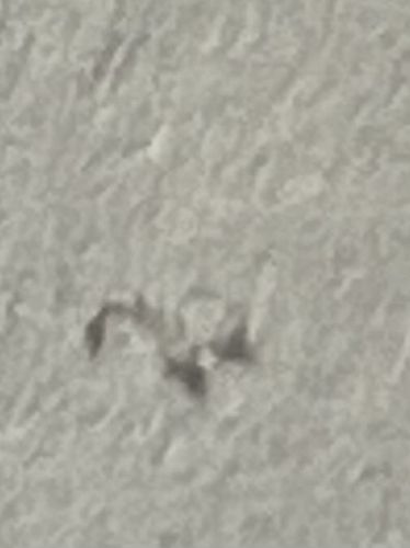 Unidentifiable Object