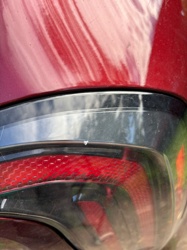 There is no identifiable bug or insect in the image.